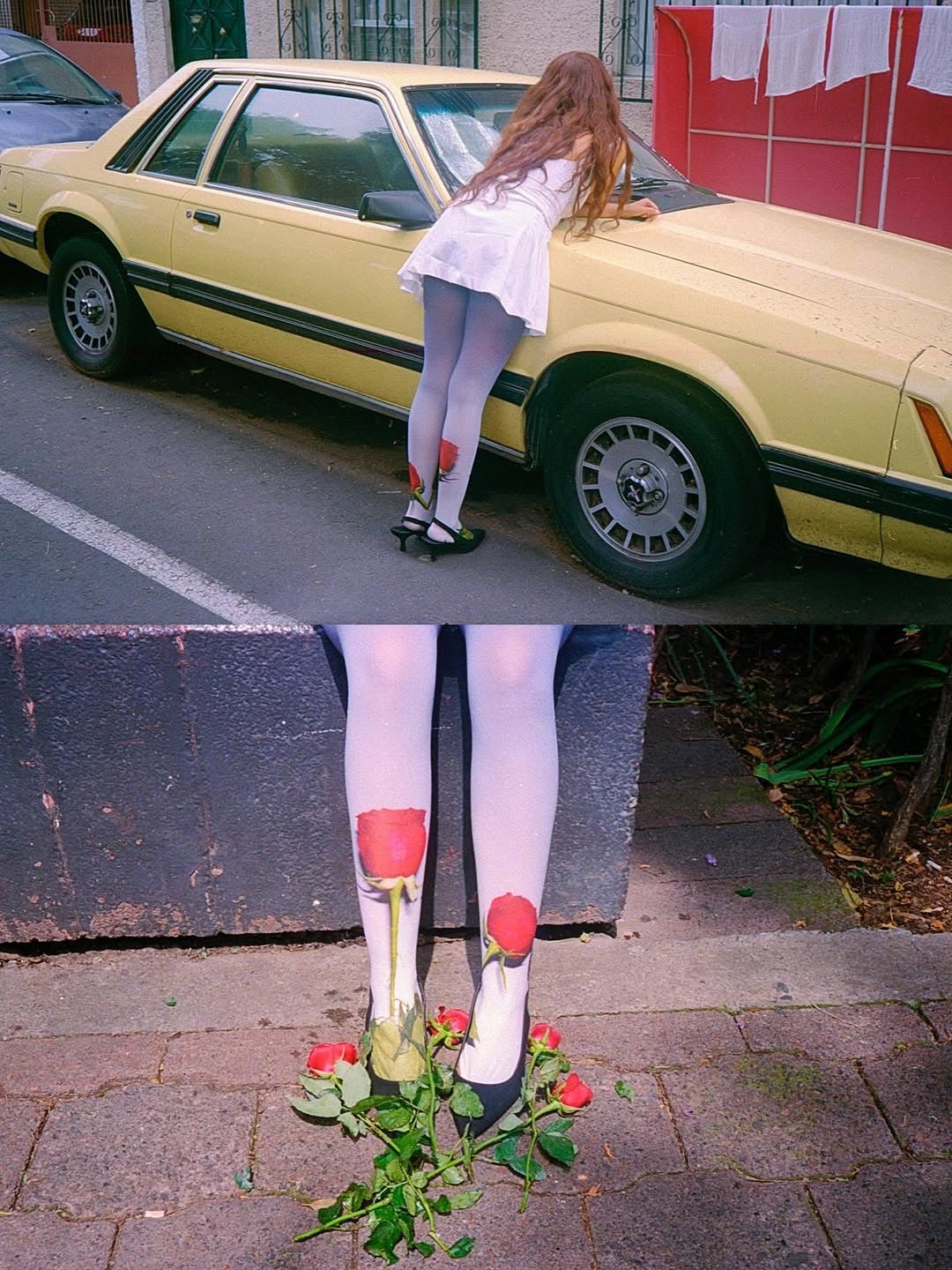 Medias Rose