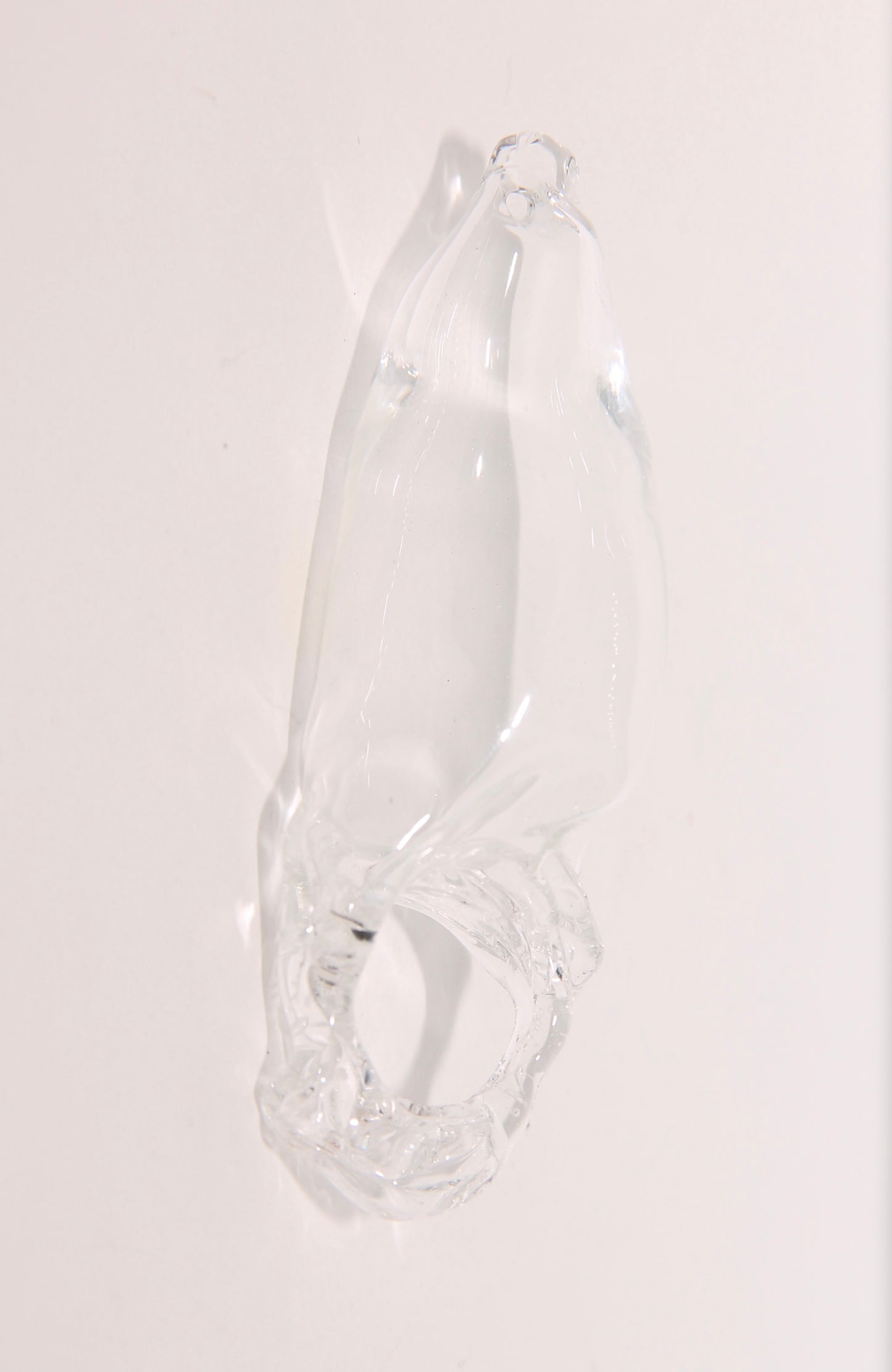 Anillo Transparente
