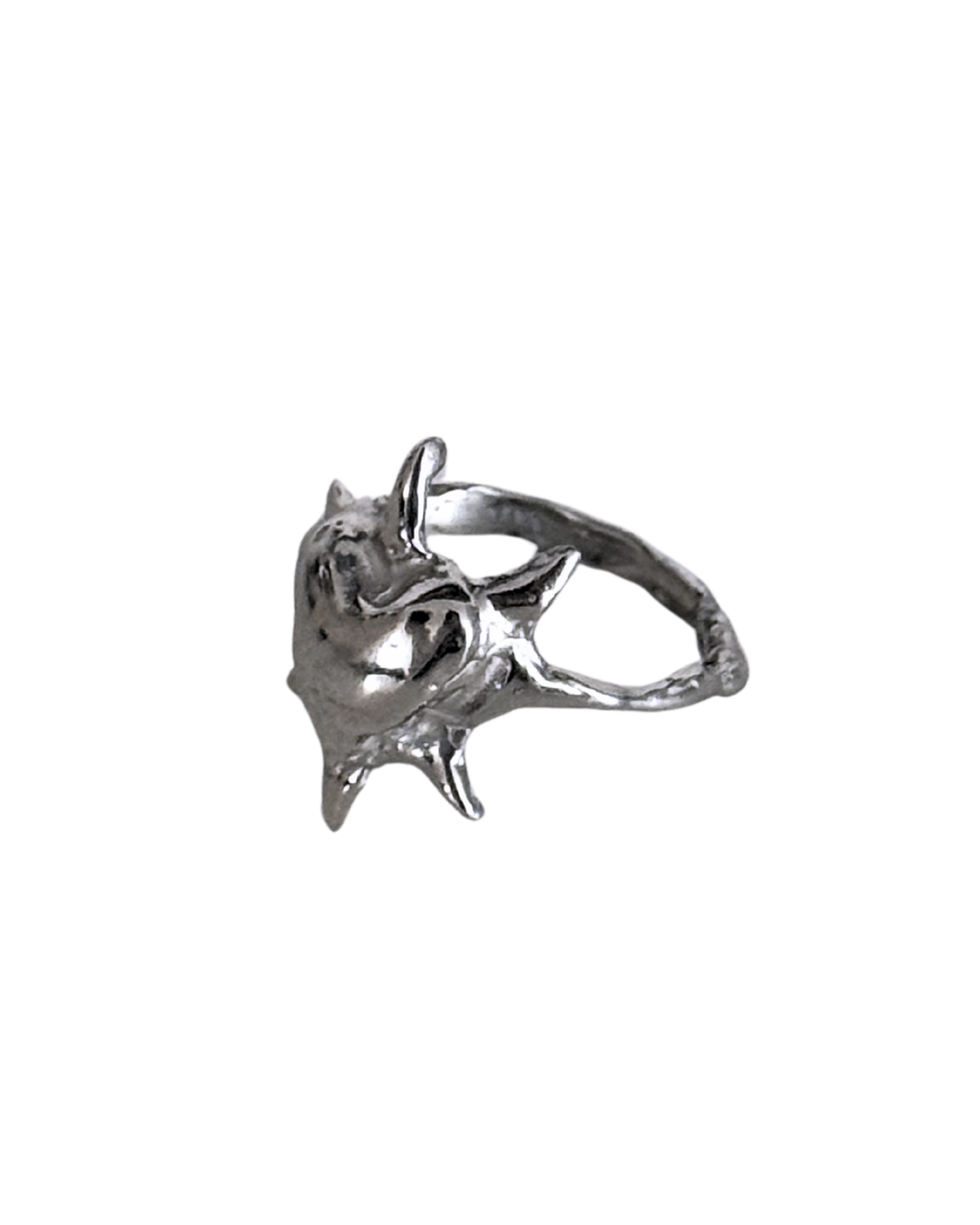 Milagros Anillo 2