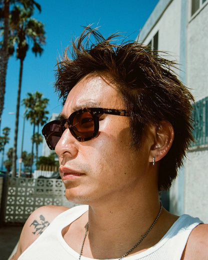 The No Wave - Desert Tortoise Bio Polarized