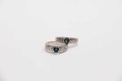 Anillo Certeza 1.0