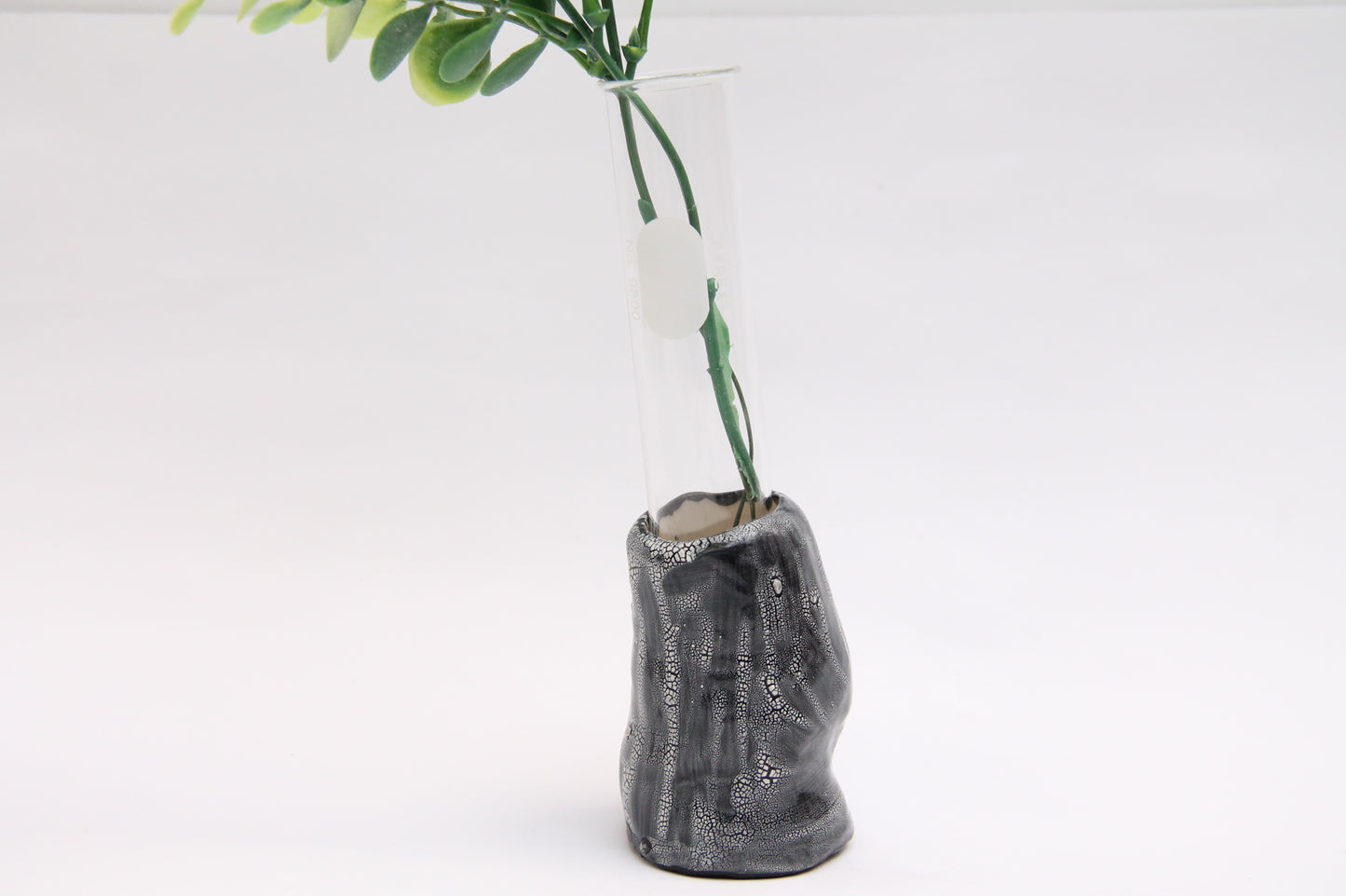 Volcano Vase Plant