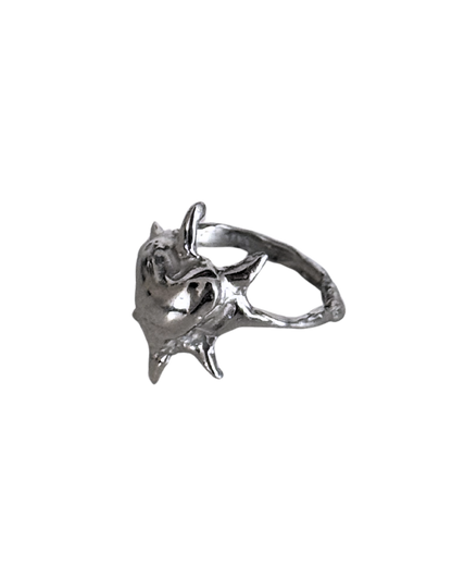 Milagros Anillo 2