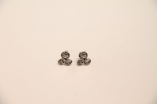 Aretes Huella