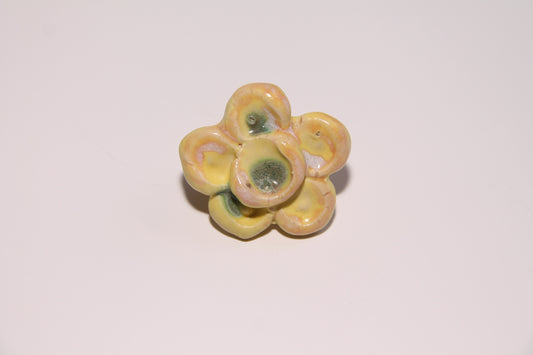 Anillo Cuorentino